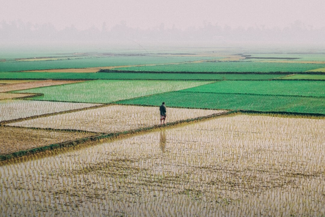 farmer in field